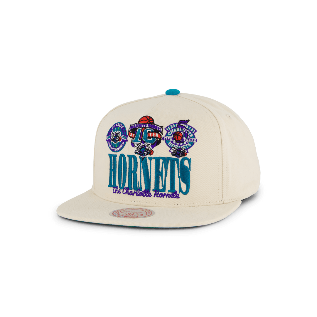 Hornets Reframe Retro Snapback HWC