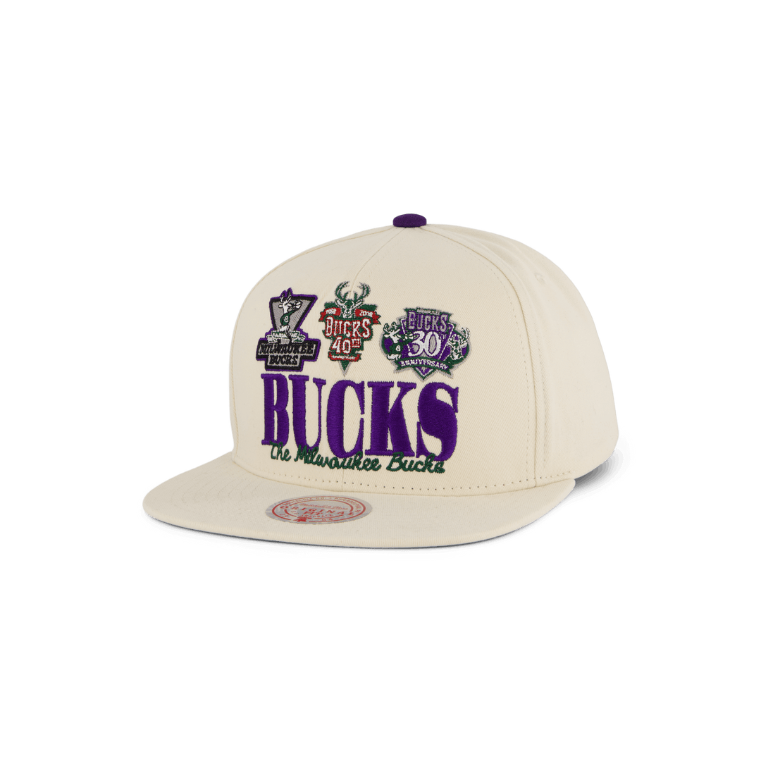 Bucks Reframe Retro Snapback HWC