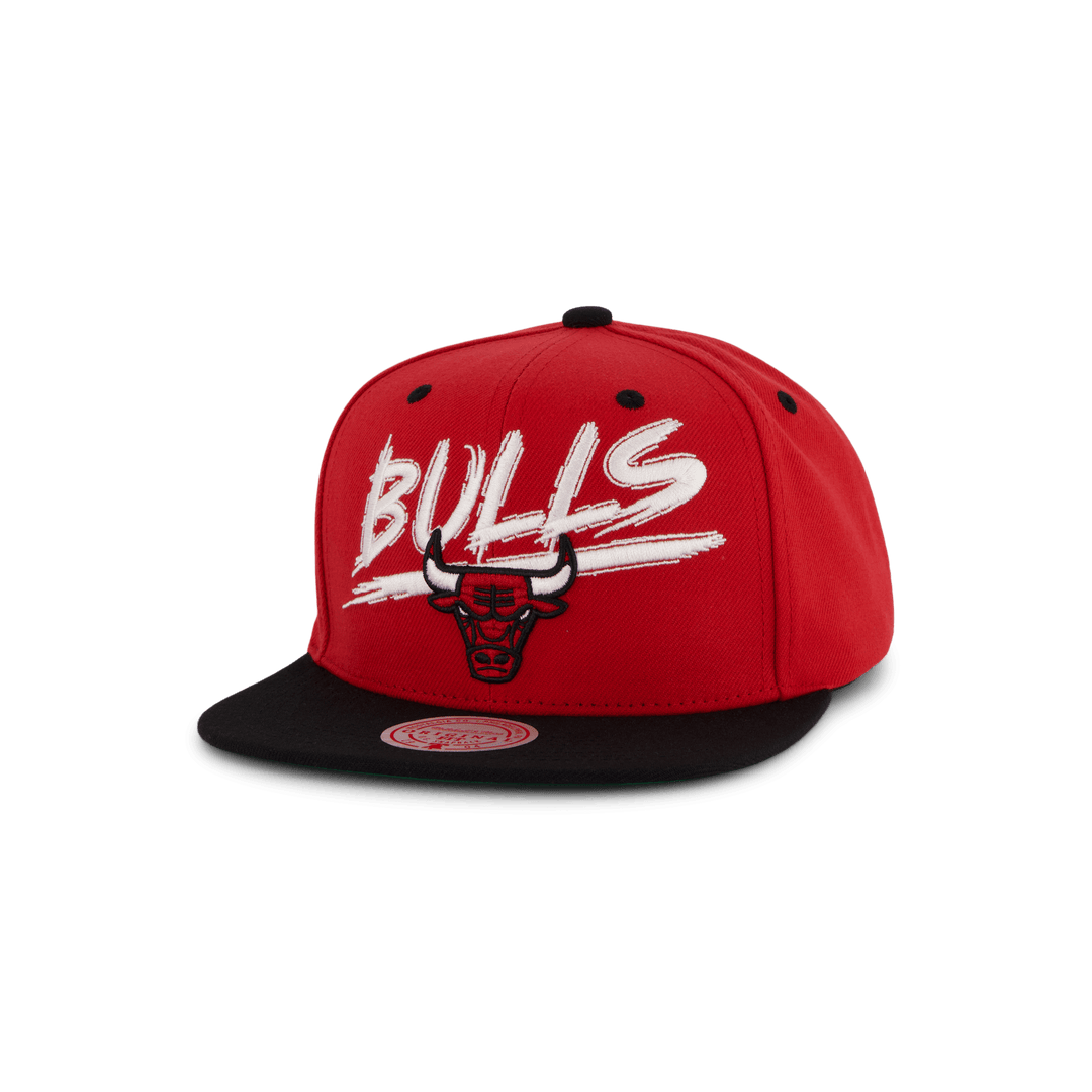 Bulls Transcript Snapback