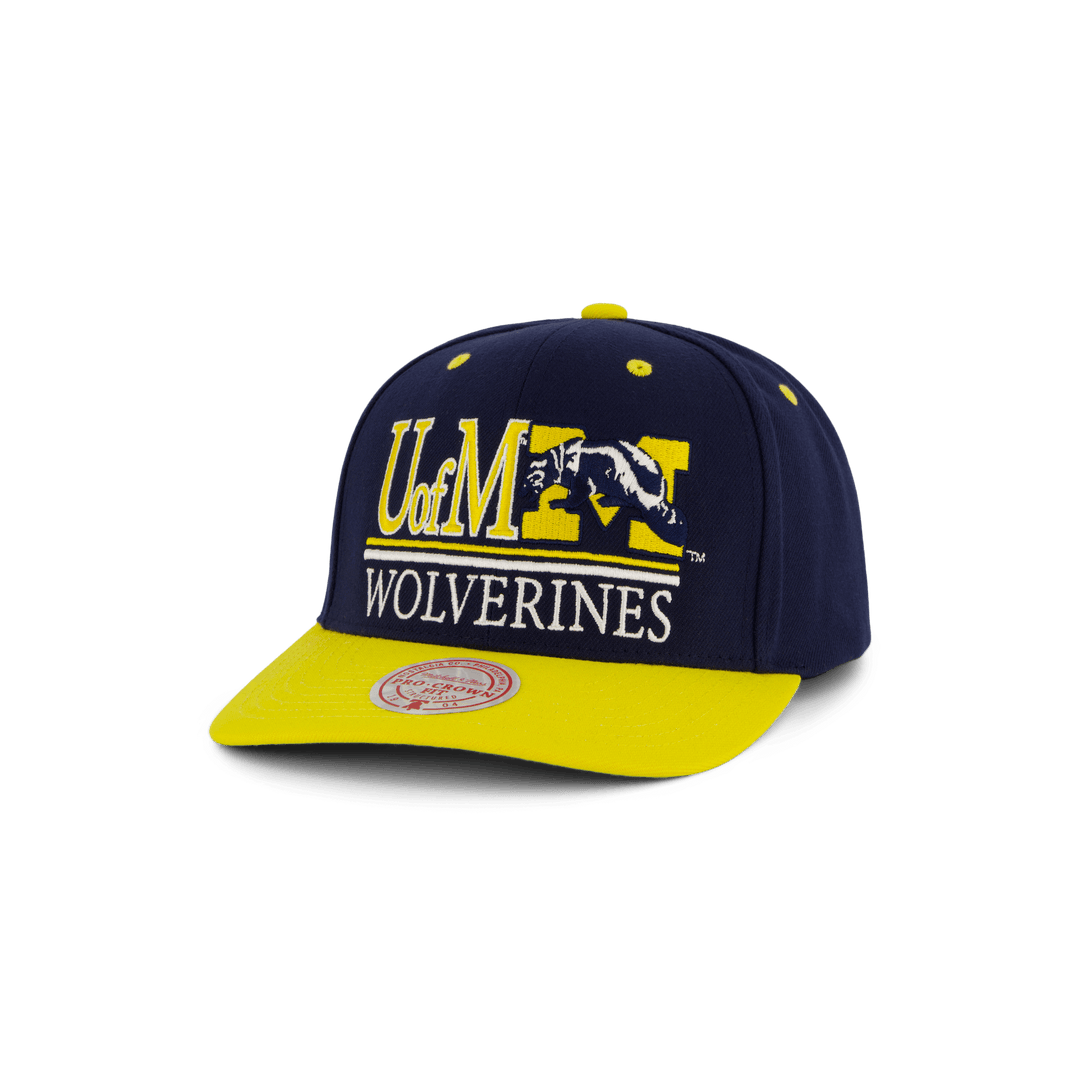 Wolwerines GPA Snapback