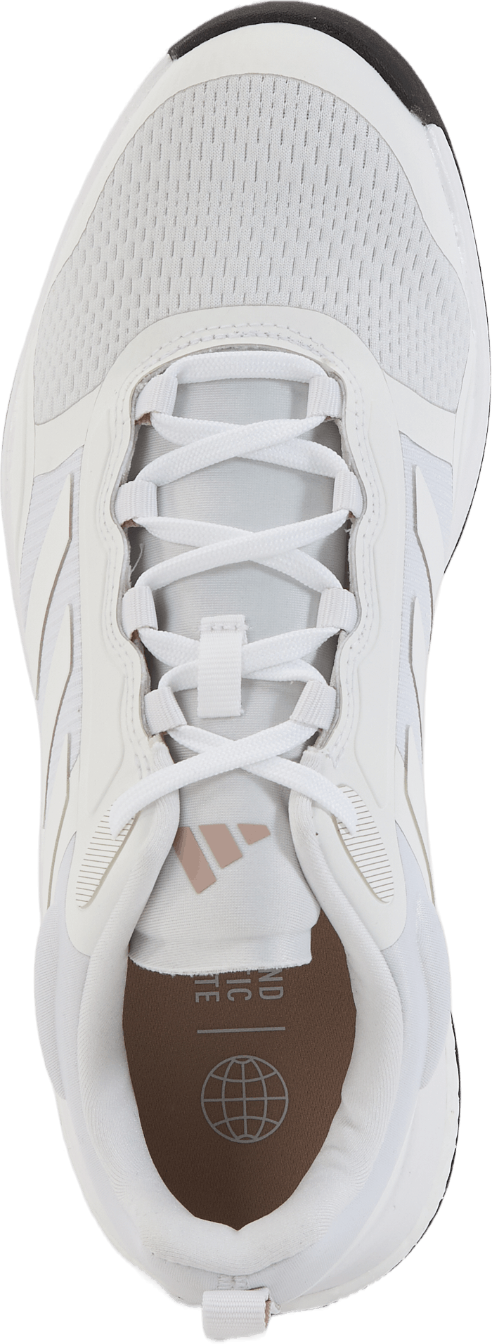 Scarpe da golf Zoysia Bianco nuvola / Bianco nuvola / Wonder Taupe