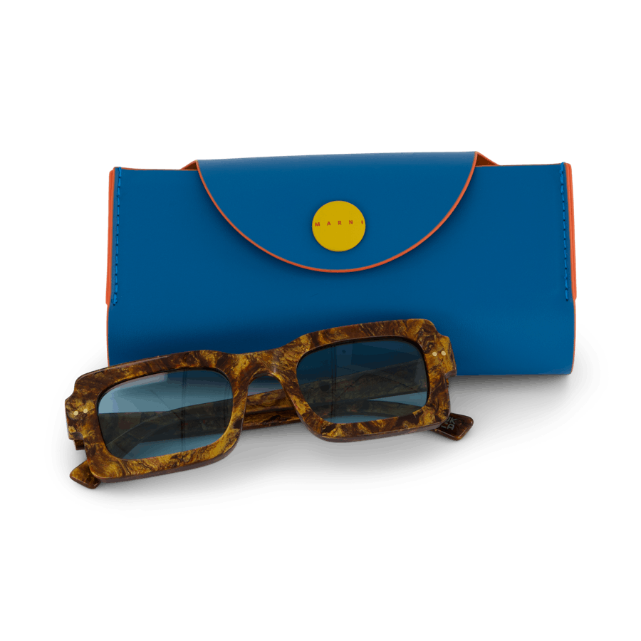 Lago Vostok Radica 51 Radica