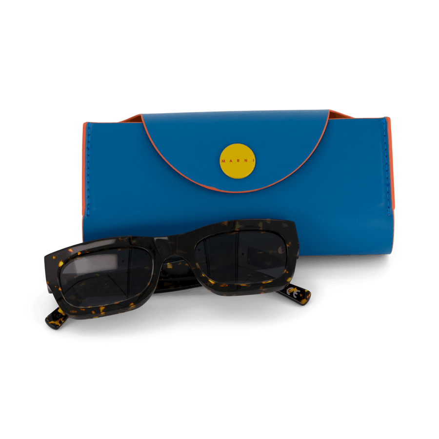 Kawasan Falls Maculato 52 Maculato