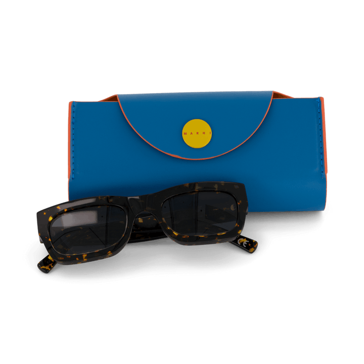 Kawasan Falls Maculato 52 Maculato