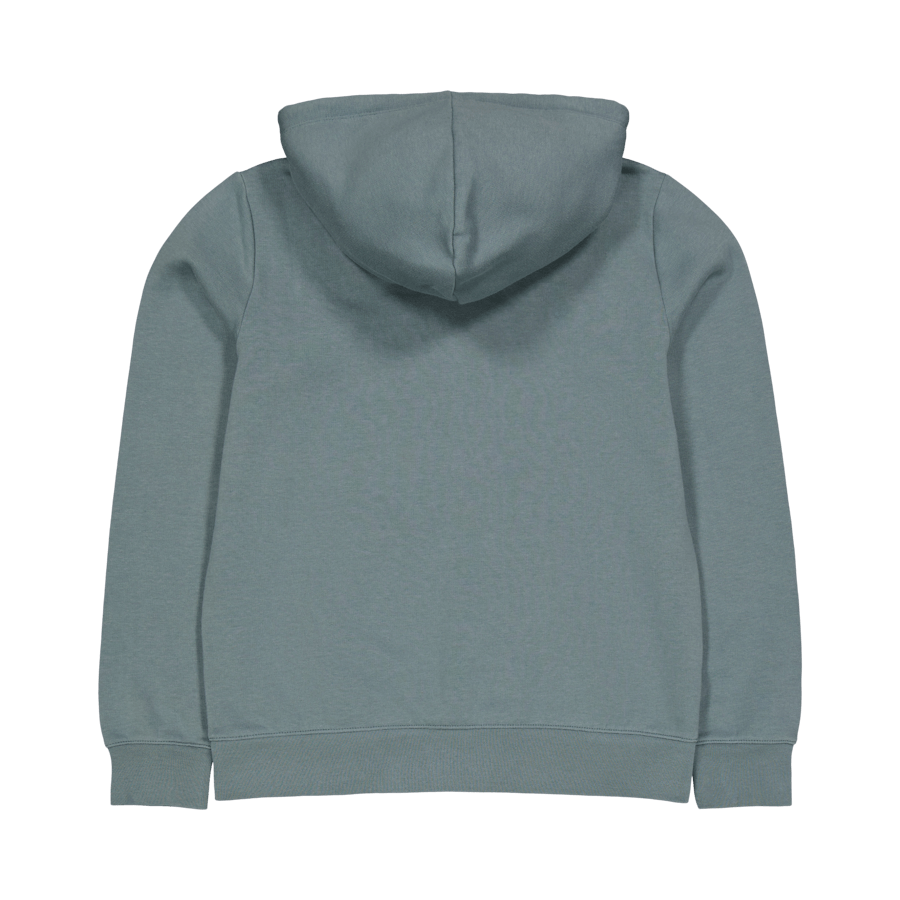 Sweatshirt met capuchon Balsamo Groen