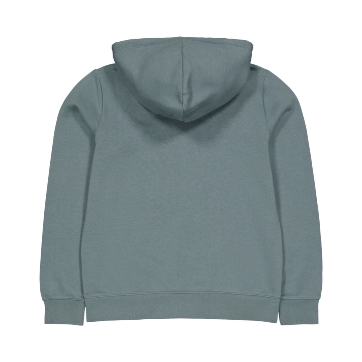 Sweatshirt met capuchon Balsamo Groen