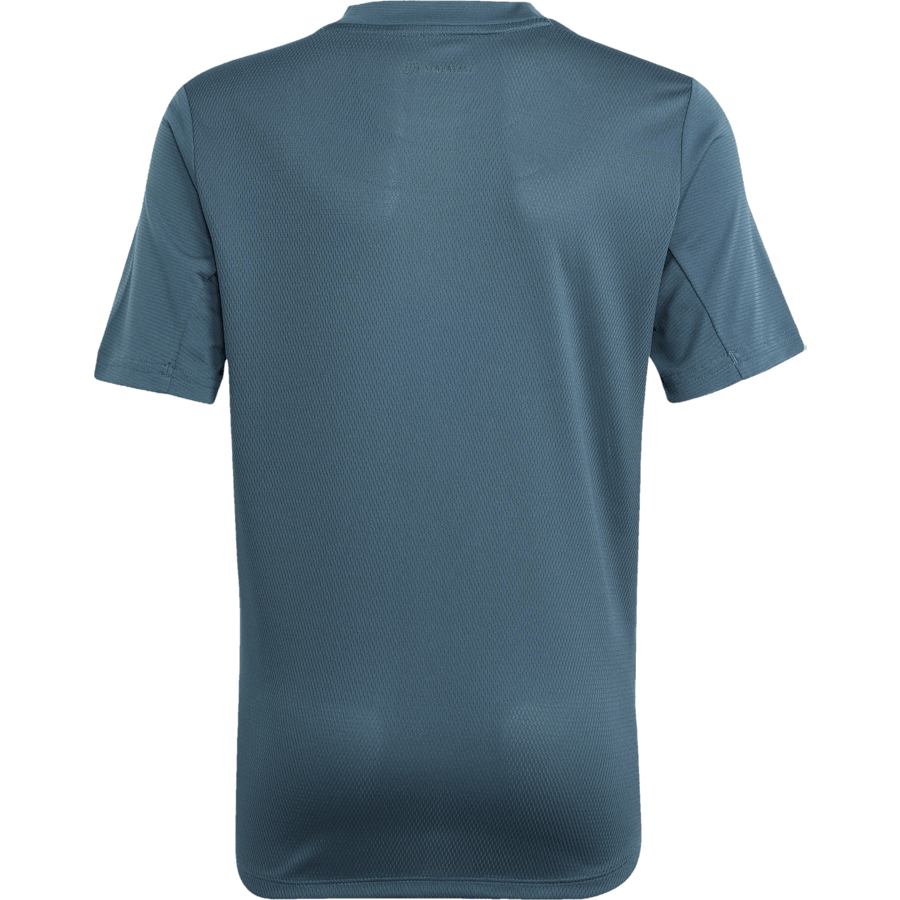 AEROREADY T-Shirt Arcngt/Silvmt