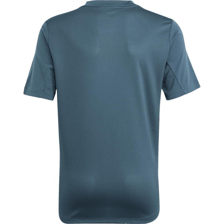 AEROREADY T-Shirt Arcngt/Silvmt