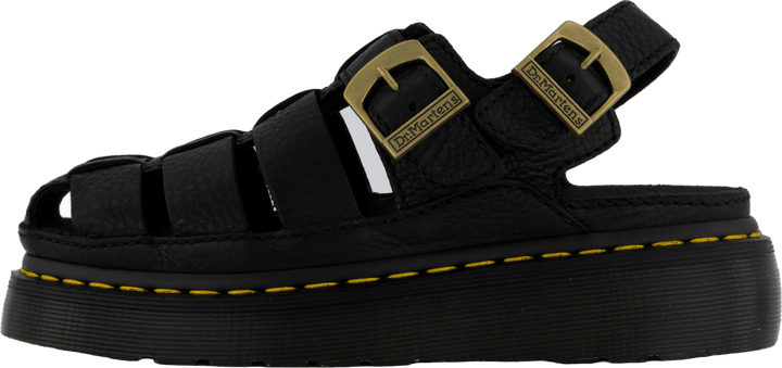 Wrenlie Black Grizzly