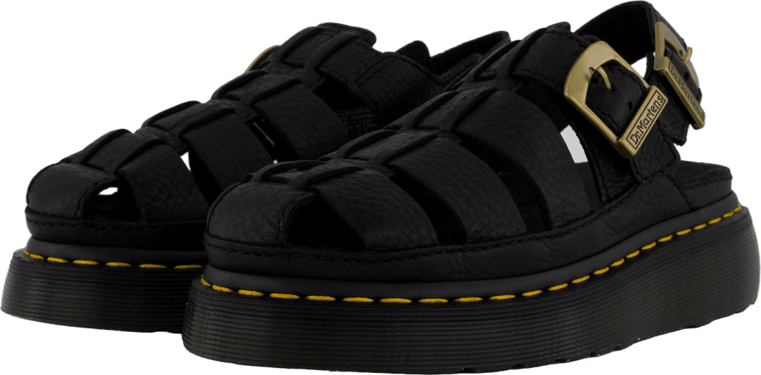 Wrenlie Black Grizzly