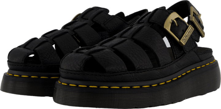 Wrenlie Black Grizzly