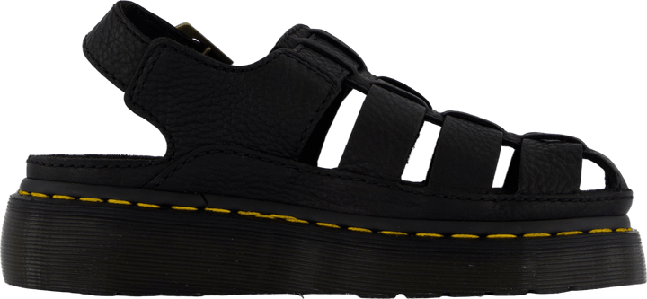 Wrenlie Black Grizzly