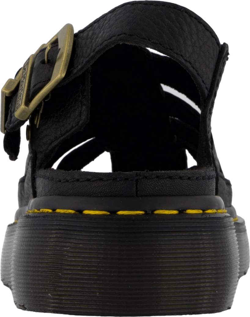 Wrenlie Black Grizzly