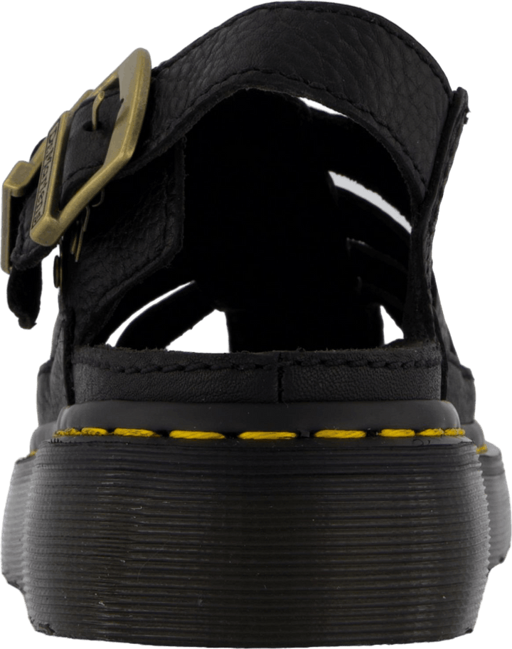 Wrenlie Black Grizzly