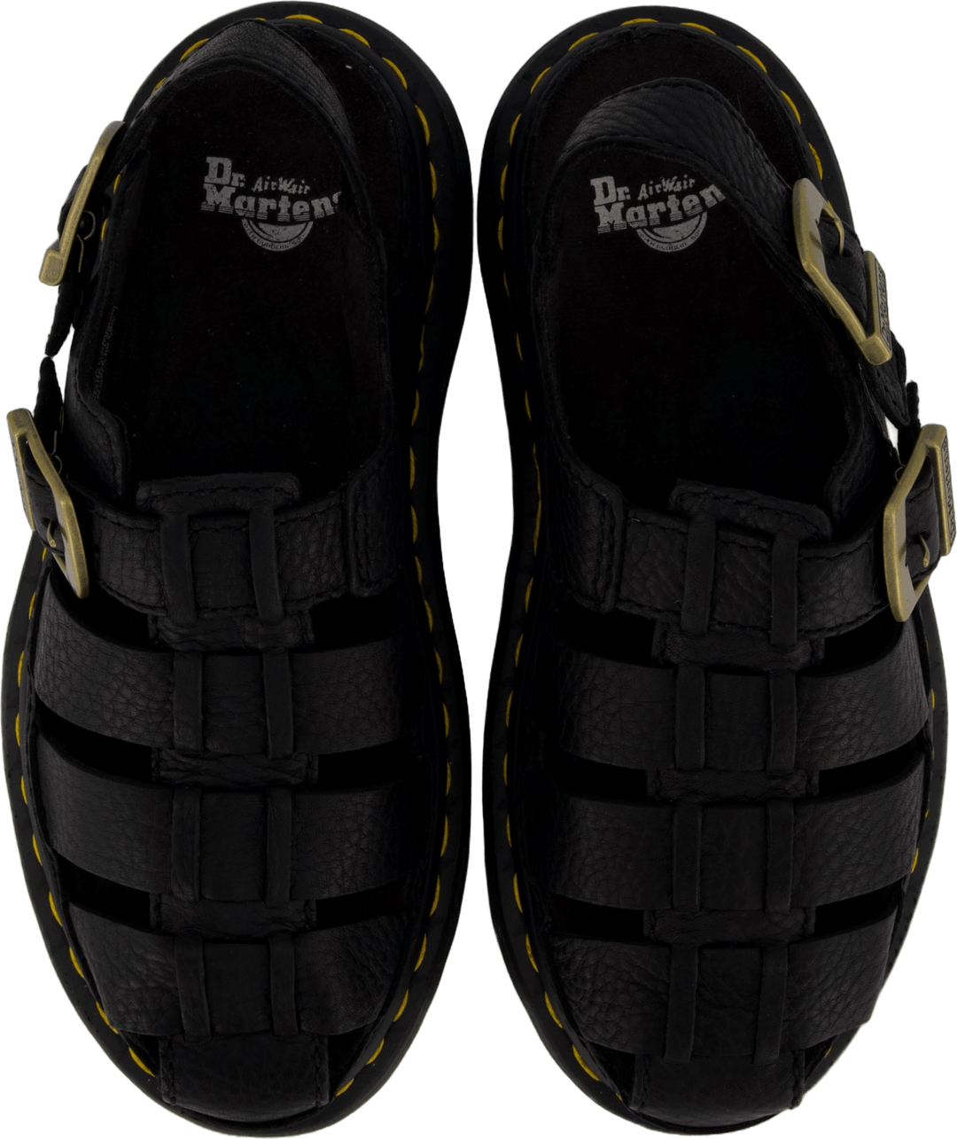 Wrenlie Black Grizzly