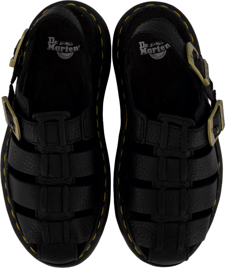 Wrenlie Black Grizzly