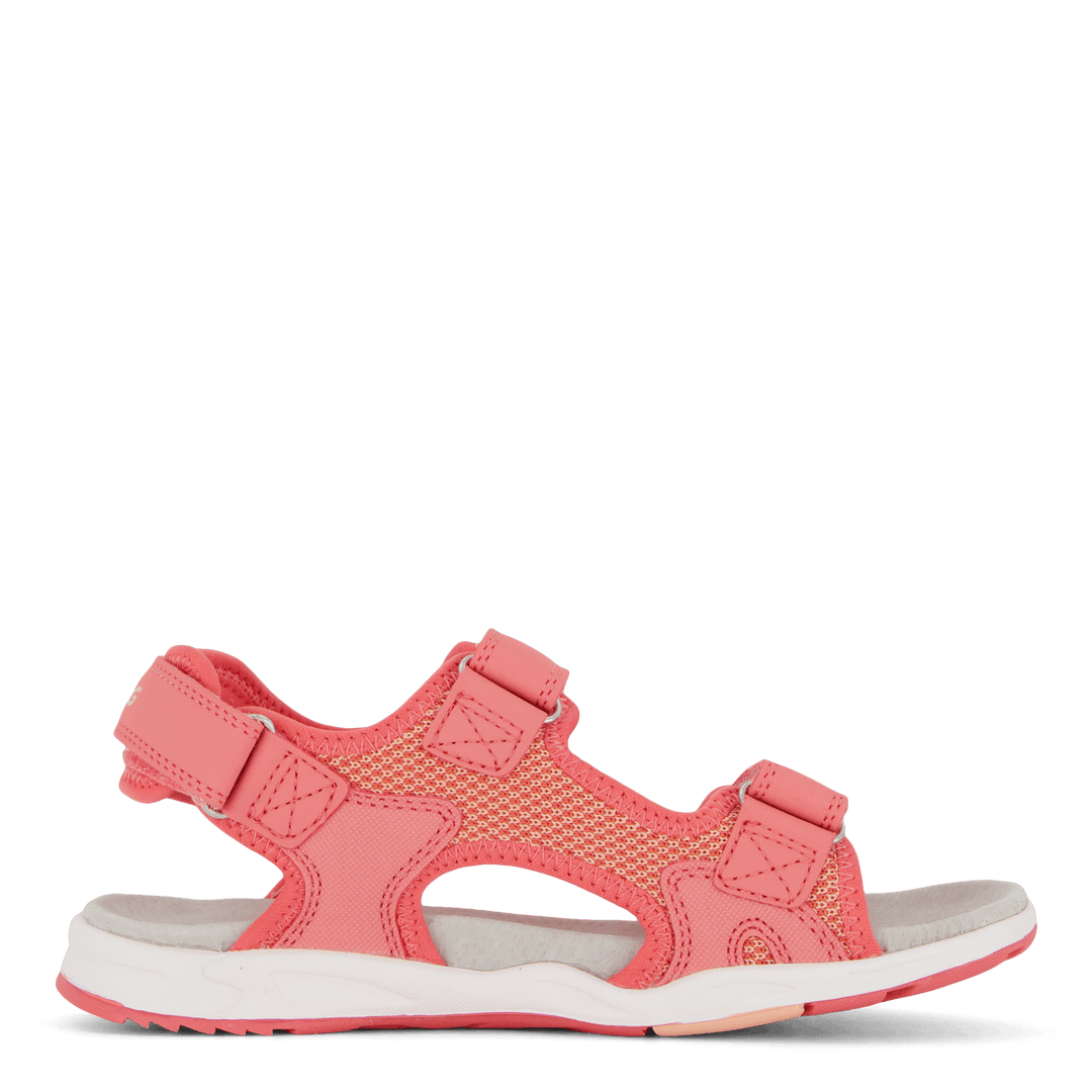 Anchor Sandal 3V Coral