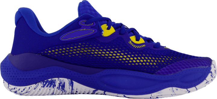 Curry Splash 24 Royal