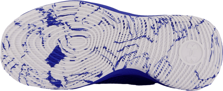 Curry Splash 24 Royal