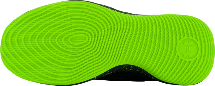 Curry Splash 24 Purple