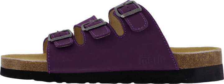 Concha Coração Púrpura