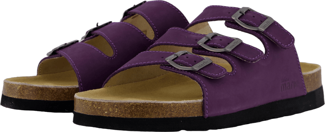 Concha Coração Púrpura