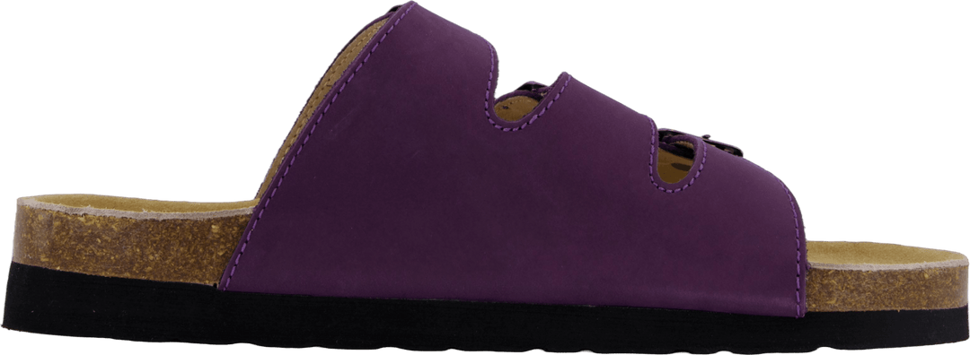 Concha Coração Púrpura