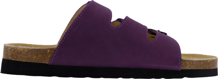 Concha Coração Púrpura