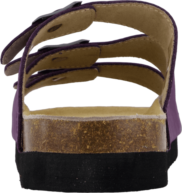 Concha Coração Púrpura