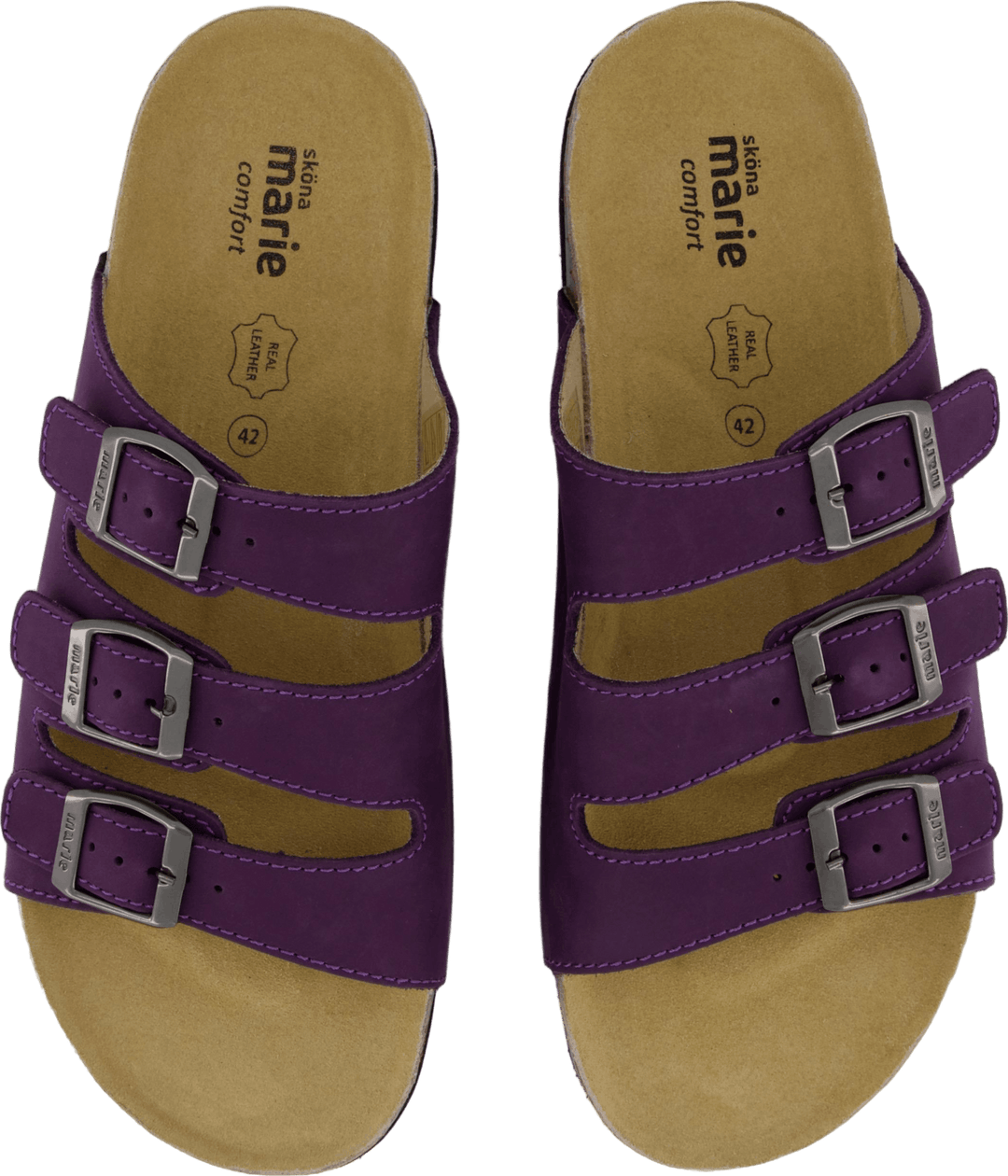 Concha Coração Púrpura