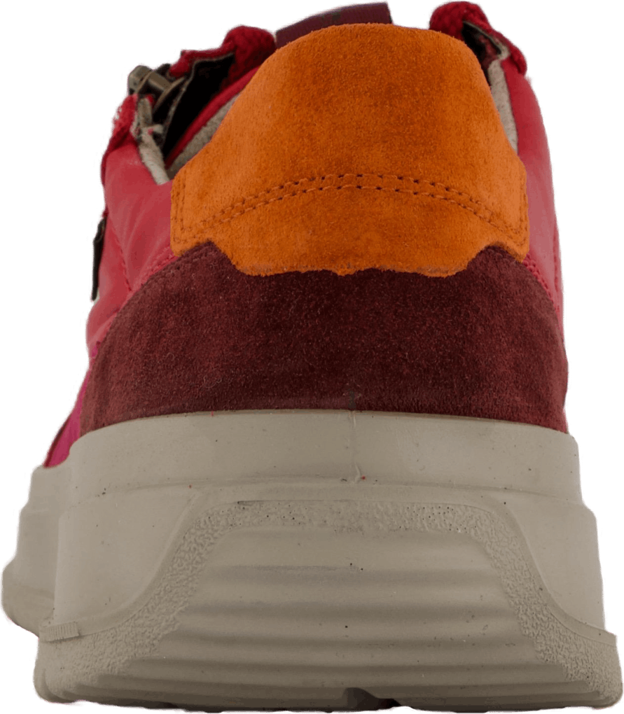 Sprinter Veneroso (rot)