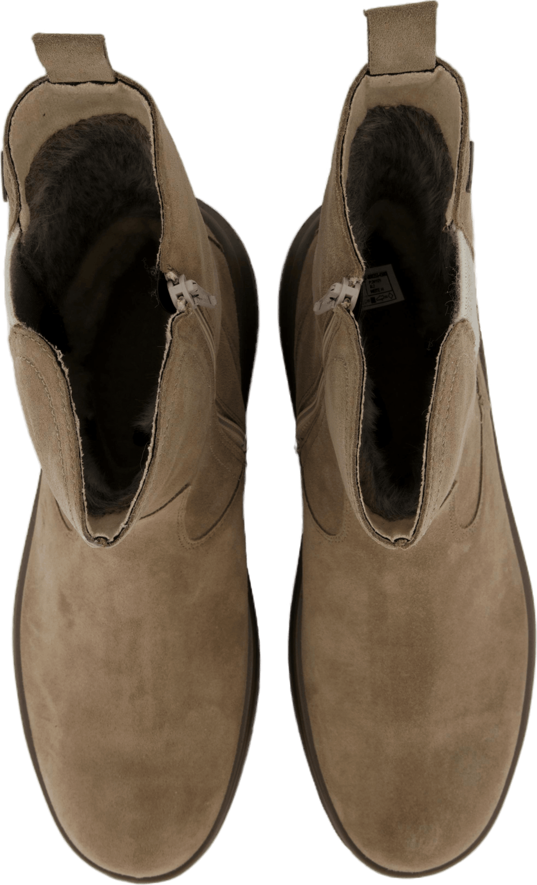 Giotto le Rêveur (beige)