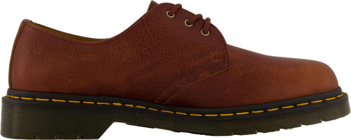 1461 Cashew Ambassador