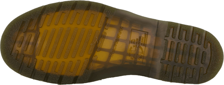 1461 Cashew Ambassador