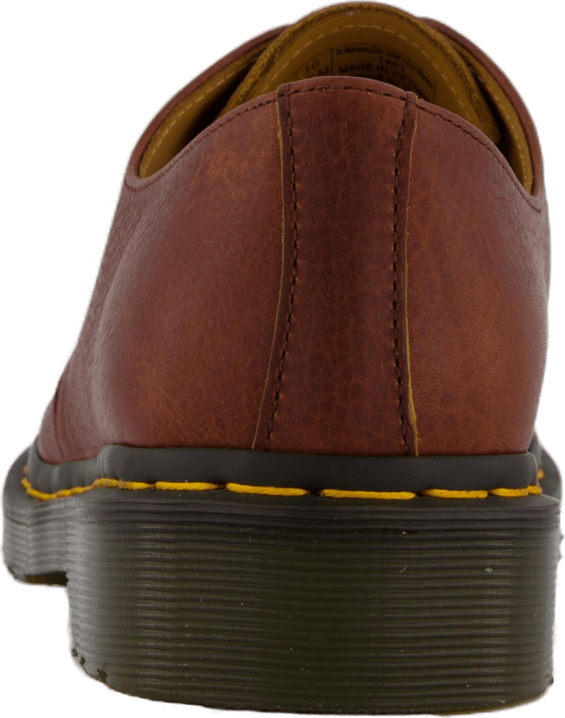 1461 Cashew Ambassador