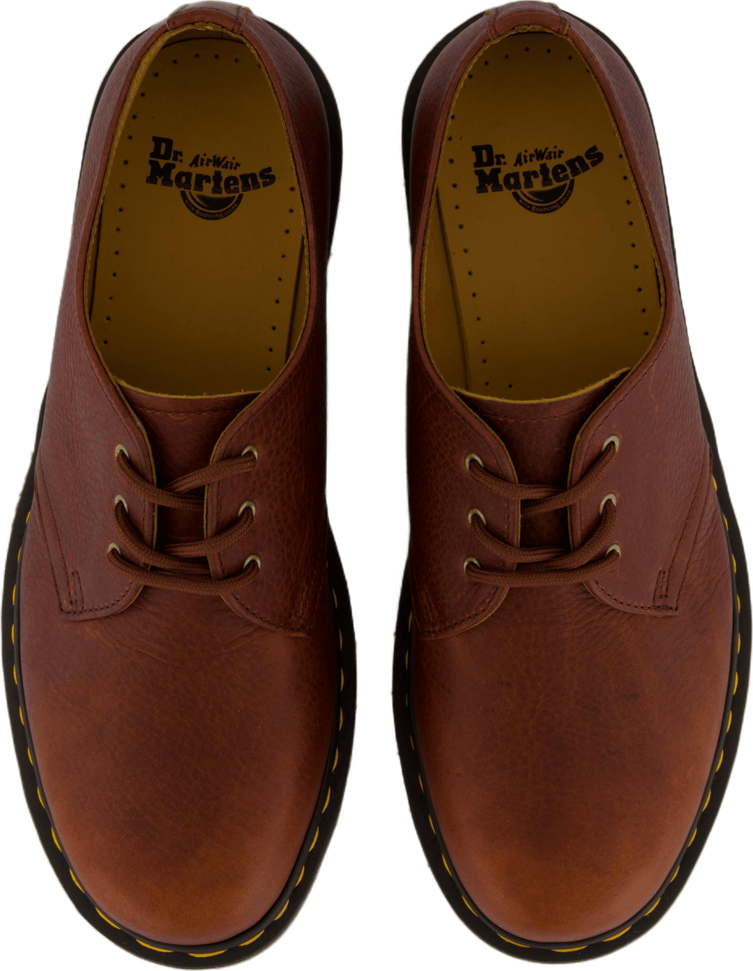 1461 Cashew Ambassador