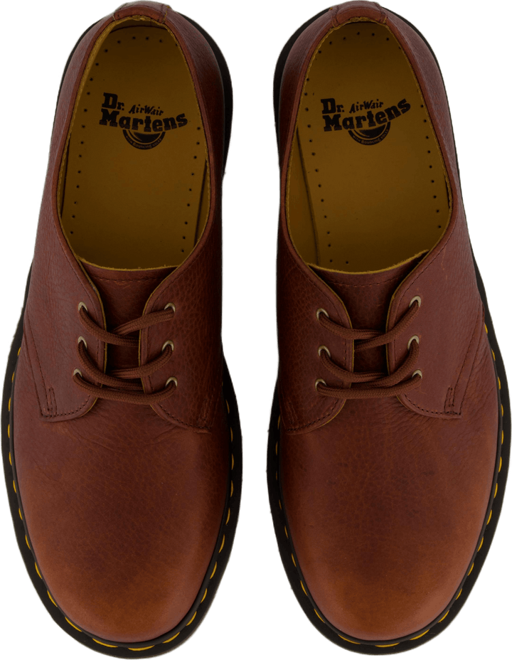 1461 Cashew Ambassador