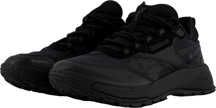Dmx Trail Gtx Sort/purgry