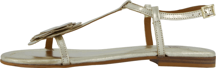 A8704 Nappa doré