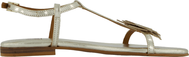 A8704 Nappa doré