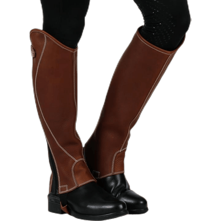 Shortchaps Santiani Large Marron