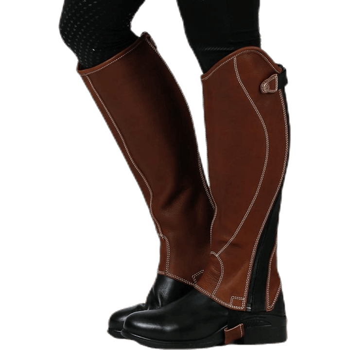 Shortchaps Santiani Large Marron
