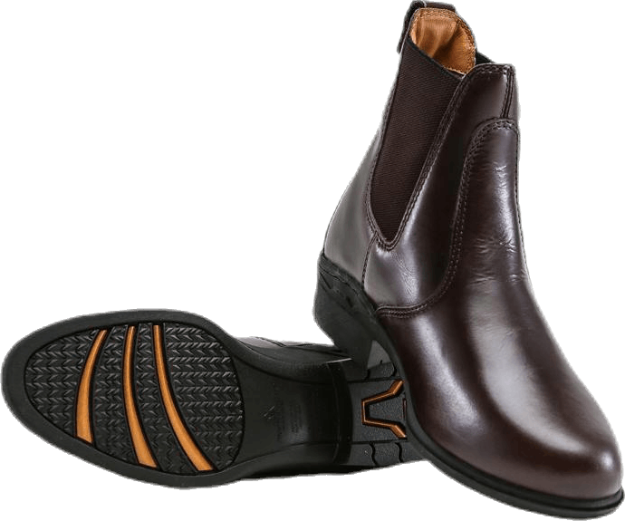 Aurora Jodphur Brown
