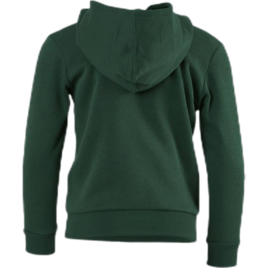Sudadera con capucha Junior Verde