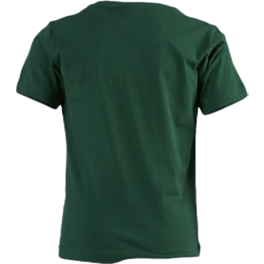 T-Shirt mit Rundhalsausschnitt Junior Grün