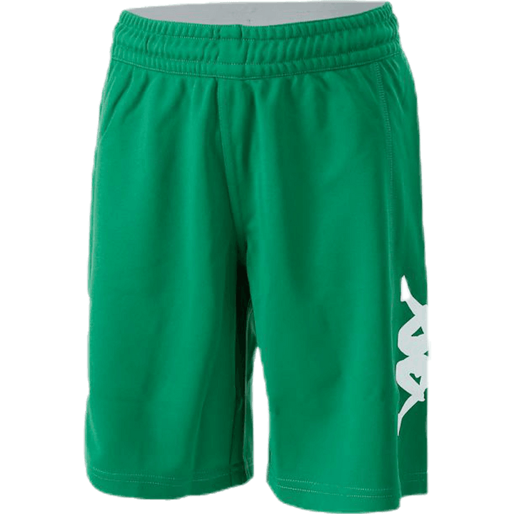 Logoshorts biela/zelená