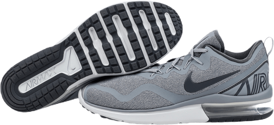Air Max Fury Grå