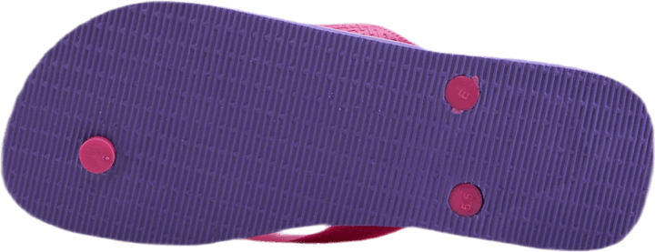 Brasil Fresh Rosa/Lila