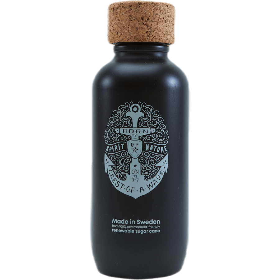 EcoBottle 650ml Schwarz
