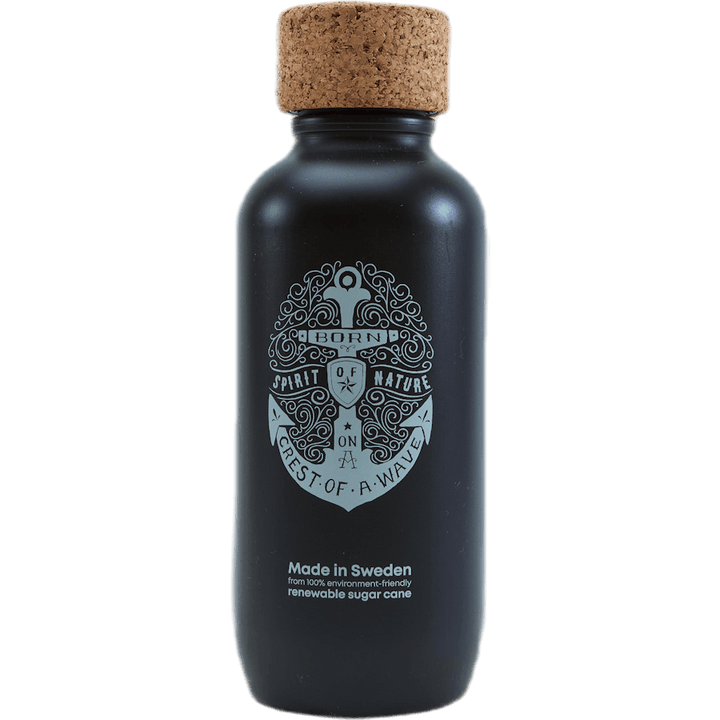 EcoBottle 650ml Schwarz